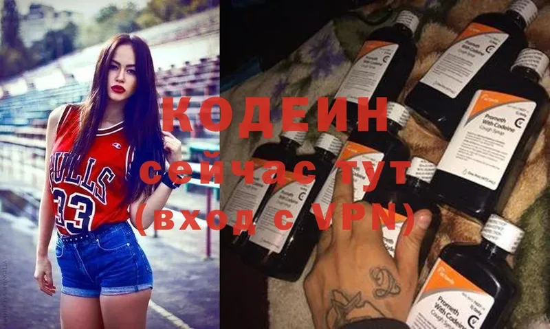 купить наркоту  Елизово  Кодеиновый сироп Lean Purple Drank 